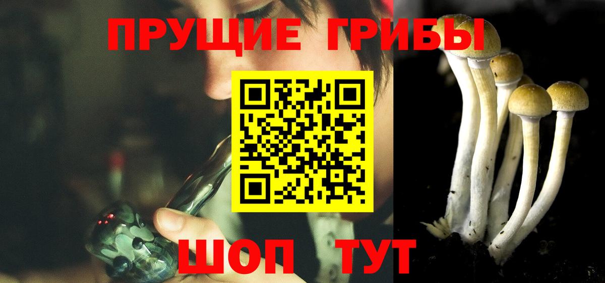 Галлюциногенные грибы MAGIC MUSHROOMS Рассказово